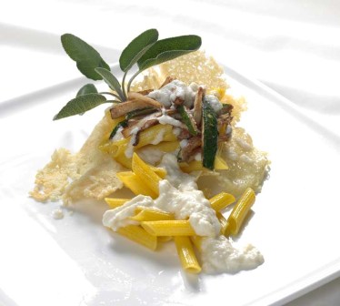 Penne allo zafferano con Taleggio, timo e zucchine